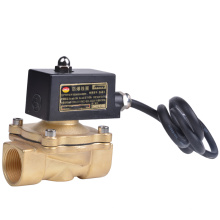 2W200-20 brass material 10, 16 bar normally closed Gas Natural gas control valve Explosion proof solenoid valve